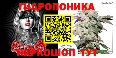 амф Тверь
