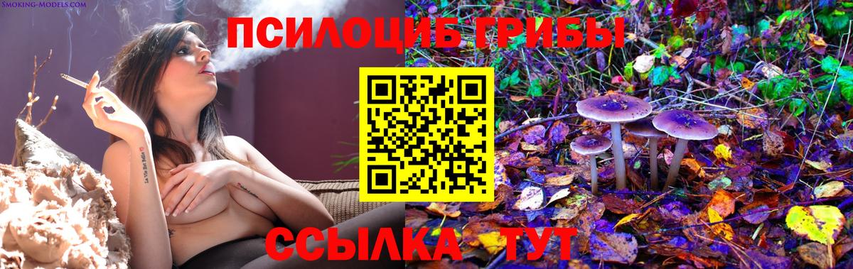 Псилоцибиновые грибы Psilocybine cubensis  Вход с VPN  Галлюциногенные грибы прущие грибы  Подольск 