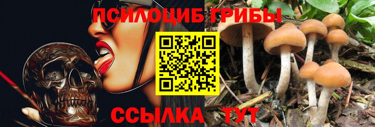 Галлюциногенные грибы прущие грибы Подольск